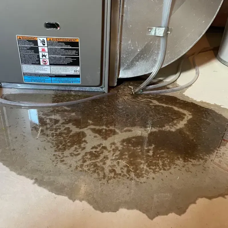 Appliance Leak Cleanup in Hettinger, ND